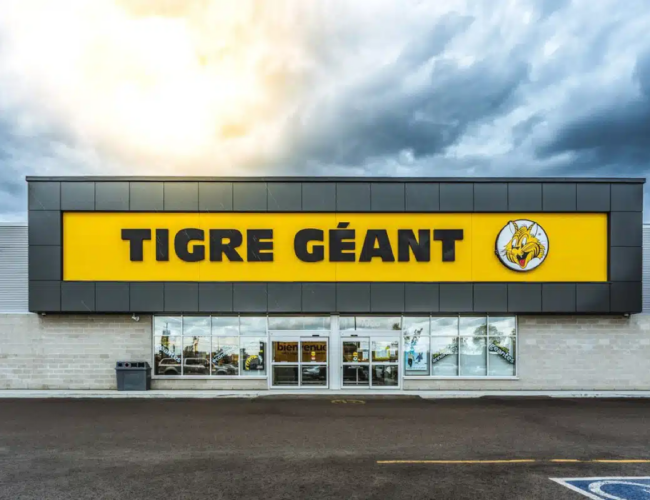 Découvrez le Grand Jeu Concours de Tigre Géant !