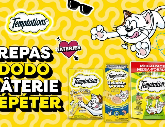 Offre Spéciale pour les Amoureux des Chats : Gâteries Gratuites Temptations Lickable Spoons